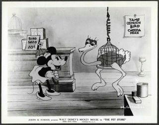 Disney Mickey Mouse 1933 Promo Photo The Pet Store Carton