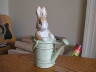 Royal Doulton Beswick Beatrix Potter Peter In The Watering Can Figurine 1999