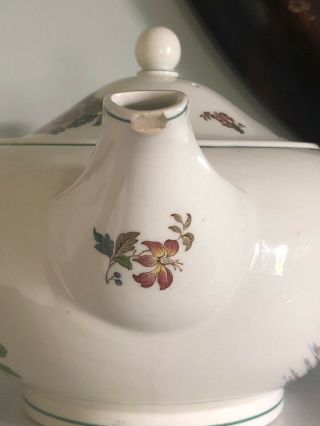 Wedgwood of Etruria & Barlaston Floral Teapot W/Lid 1945 - 1965 Eastern Flowers 5