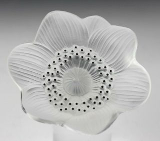 Lalique France French Frosted Crystal Anemone Flower Art Glass Paperweight Lma