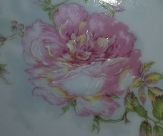 Haviland & Co Limoges France Hand Painted Plate Pink Roses Gold Trim 2