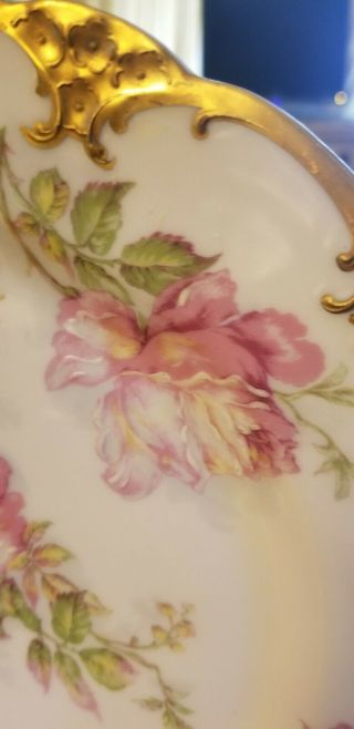 Haviland & Co Limoges France Hand Painted Plate Pink Roses Gold Trim 3