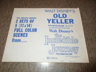 Disney Old Yeller Incredible Journey Lobby Card Set 1975 10 Cards,  Bonus