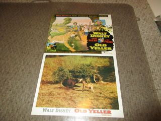 Disney Old Yeller Incredible Journey lobby card set 1975 10 cards,  bonus 2