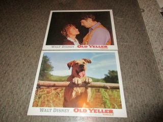 Disney Old Yeller Incredible Journey lobby card set 1975 10 cards,  bonus 3