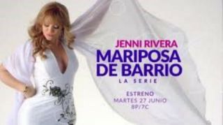 Mariposa De Barrio,  Serie Mexico - Usa 19 Dvd,  91 Capitulos,  2017