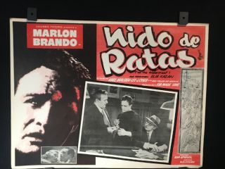 Vintage Marlon Brando On The Waterfront Mexican Lobby Movie Card 16 " X12