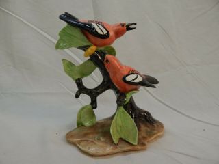 Vintage Stangl Pottery Birds 3754 Double White Wing Crossbills 9 "