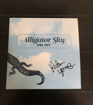Owl City Adam Young Signed Autographed Alligator Sky 7” Vinyl Record,  Rare Promo
