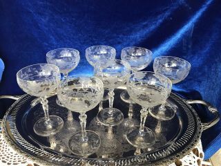 Antique - Set Of 8 Etched Cut Crystal Champagne - Glasses