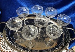 Antique - SET OF 8 ETCHED CUT CRYSTAL CHAMPAGNE - GLASSES 6