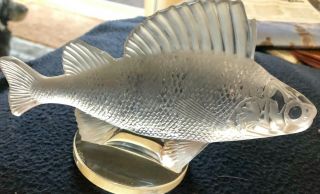 Lalique Art Glass Perch Fish " Perche " 1158 Signed France Paperweight