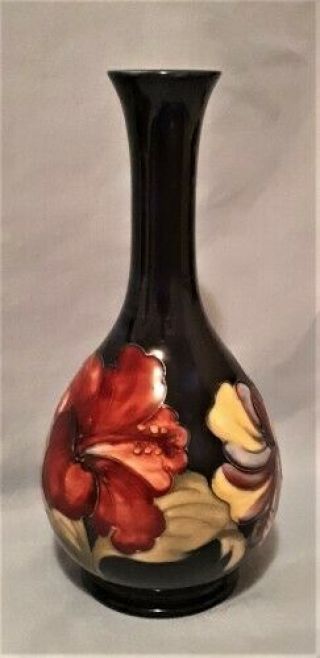 Exquisite Vint.  8 1/4 " H Moorcroft Hibiscus Vase W/ Queen Mary Label,