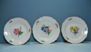 3 Antique Meissen Porcelain Hand Painted Flowers 6 7/8 " Plates