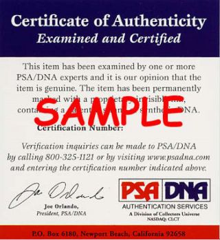 ANGIE DICKINSON HAND SIGNED PSA DNA 8X10 PHOTO Autographed Authentic 2