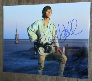 Mark Hamill " Autographed Hand Signed " Star Wars Luke Skywalker 8x10 Photo