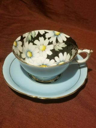 Blue Paragon Cup And Saucer Double Warrant Daisies On Black