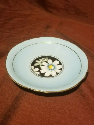 Blue Paragon Cup and Saucer Double Warrant Daisies on Black 2