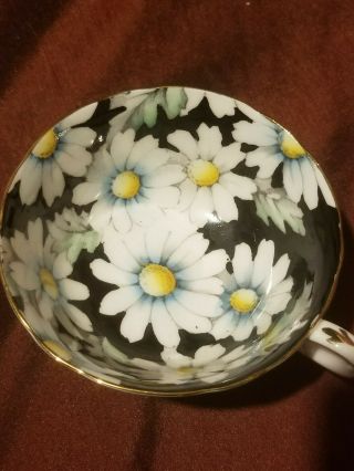 Blue Paragon Cup and Saucer Double Warrant Daisies on Black 3