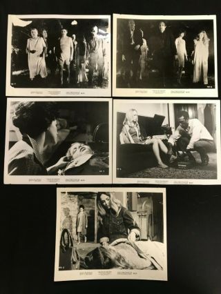 Night Of The Living Dead 1968 George Romero John Russo Zombies 5 Stills