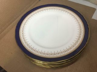 Royal Worcester Regency Cobalt Blue Set Of 8 Dinner Plates 10 3/4 "