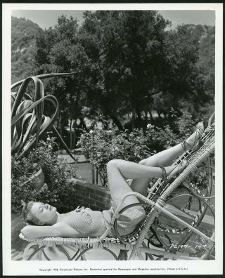 Ellen Drew Sunbathing Vintage 1938 Leggy Cheesecake Paramount Photo