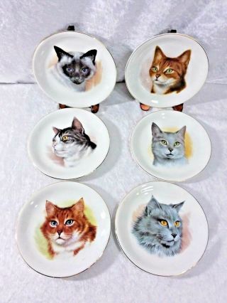 Vintage Wood & Sons England Decorative Plates " Cat " Portraits Set Of 6 Different