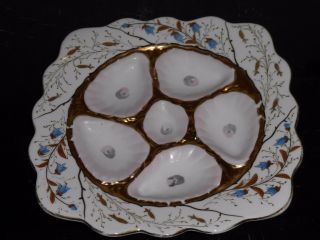 Antique Marx & Gutherz Carlsbad Handpainted Oyster Plate With Pink Wells