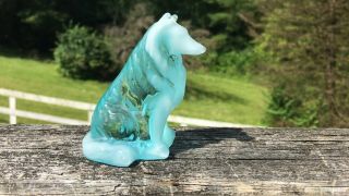 Mosser Collie In Blue Windfrost