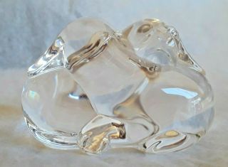 Signed Steuben Glass Crystal Puppy Dogs Hand Cooler / Paperweight 3