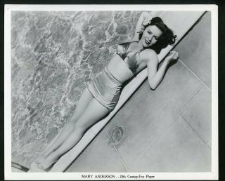 Mary Anderson Vintage 1940s Leggy Cheesecake 20th Century Fox Photo