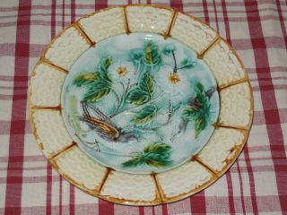 Antique French Majolica Plate,  Floral & Birds Pattern