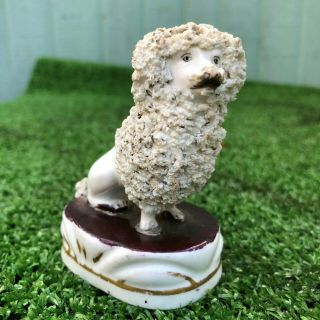 Mid 19thc Staffordshire Seated Poodle Dog With Separate Front Legs C1840s