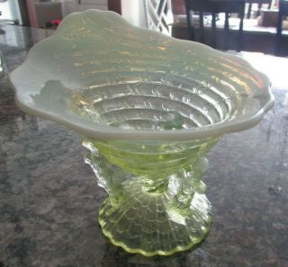 Rare 1904 Antique Northwood Canary Vaseline Opalescent Glass Ocean Shell Footed