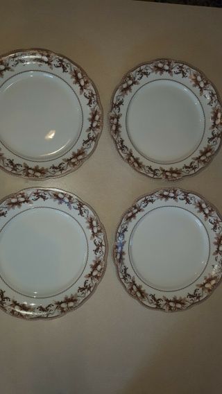 Williams Sonoma Turkey Pattern) Dinner Plates,  W/o Box,  (1 Set Of 4)
