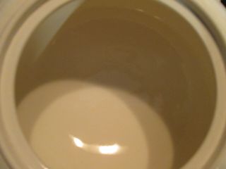 Wedgwood Queensware Cream on Cream Tea Pot 3
