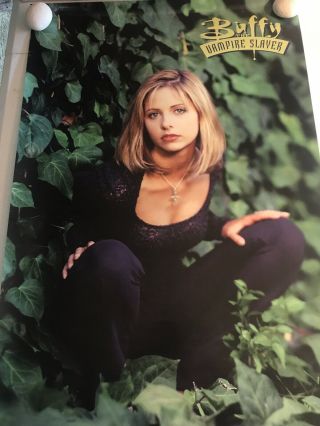Buffy The Vampire Slayer Leaves 24 X 34 Tv Poster Sarah Michelle Gellar 1998