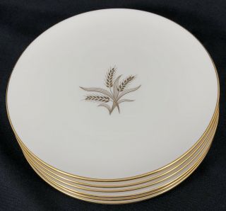 Set Of 6 Wheat By Lenox R - 442 7 7/8 " Salad Plates Made In Usa Gold Trim