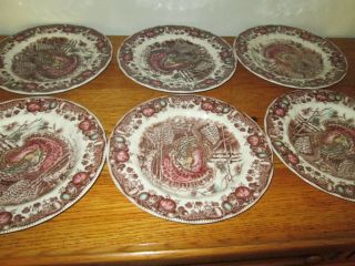 Johnson Brothers His Majesty Turkey 10.  5” Dinner Dishes Plates Set Of 6