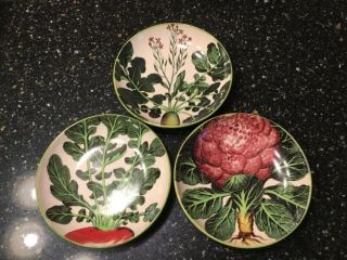 Williams Sonoma Farmers Market Set Of Three Individual Pasta Bowls Made In Italy