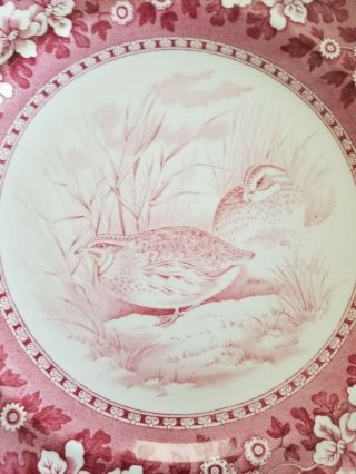 Copeland Spode Pink Tower Game Bird Dinner Plate No.  29 
