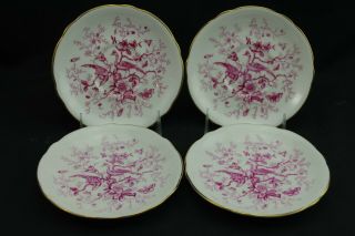Coalport Cairo Pink On White Lunch Plate 7 7/8 " Gold Trim Set Of 4