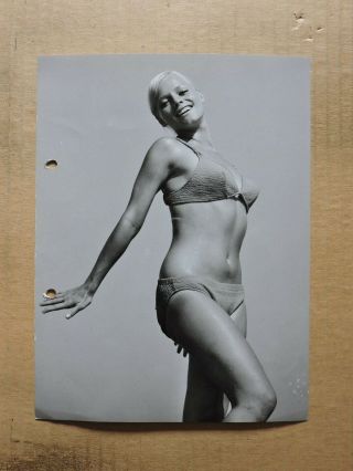 Doris Arden Leggy Bikini Pinup Portrait Photo By Werner Schmolke 1960 