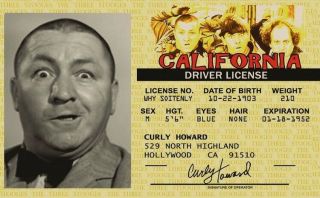 Curly Howard The Three Stooges California Driver 