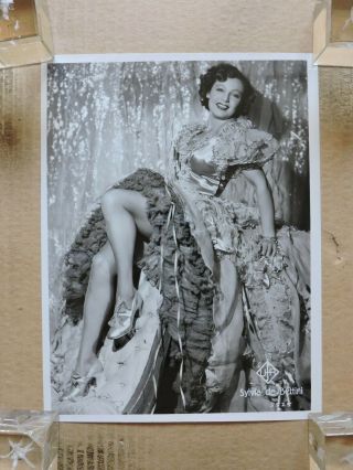 Sylvia De Bettini Leggy Glamour Pinup Studio Portrait Photo 1938 Ufa