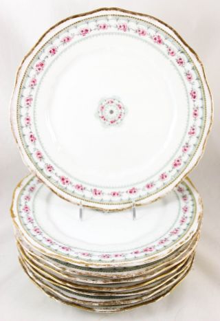 Antique Set 10 Plates 9 " Haviland Limoges China Gold Pink Flowers Powder Blue