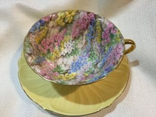 Shelley Oleander Rock Garden Chintz Cup,  Saucer And Plate - Gold Trim 13415