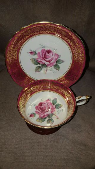 Stunning Paragon Pink Cabbage Rose Red Heavy Gold Gilt Teacup & Suacer England