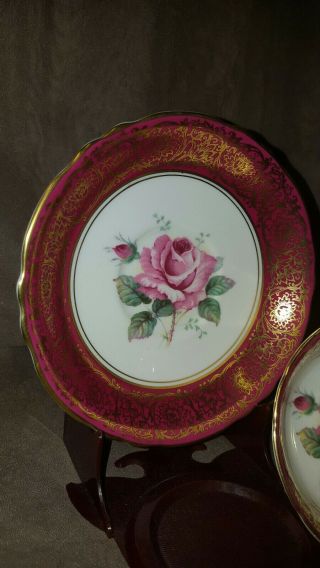 Stunning Paragon PINK CABBAGE ROSE Red Heavy Gold Gilt Teacup & Suacer England 4
