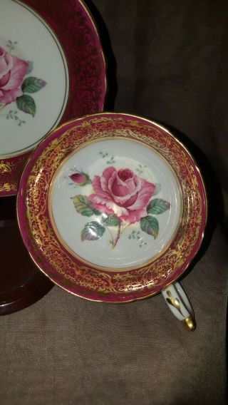 Stunning Paragon PINK CABBAGE ROSE Red Heavy Gold Gilt Teacup & Suacer England 5